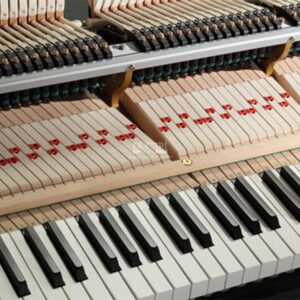 Bàn phím Kawai GX-5 với chiều dài phím được mở rộng