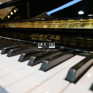 phím PLEYEL P124 MAC