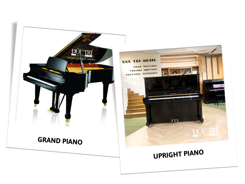 Piano cơ gồm hai loại chính Grand Piano và Upright Piano