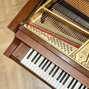 Số seri Boston GP-178 WN