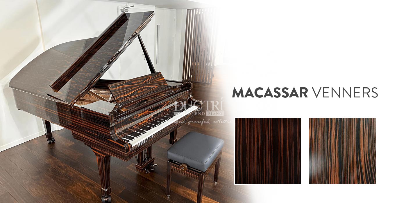 Đàn piano Macassar là loại đàn piano được chế tác từ gỗ mun Macassar