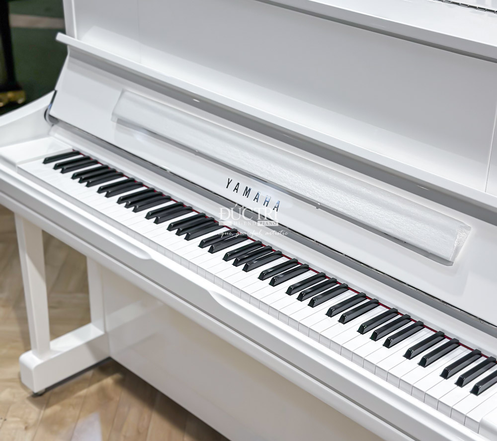 Bàn phím của đàn piano gồm 88 phím, bao gồm 52 phím trắng và 36 phím đen