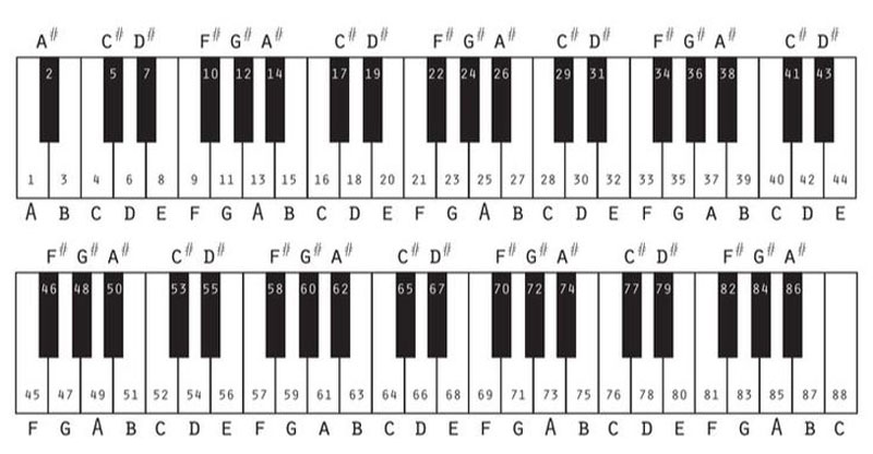 Có 14 hợp âm cơ bản, gồm 7 hợp âm trưởng và 7 hợp âm thứ trên cây đàn piano