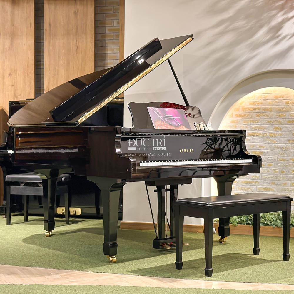 Đàn Grand Piano là nhạc cụ dây có hình dáng sang trọng