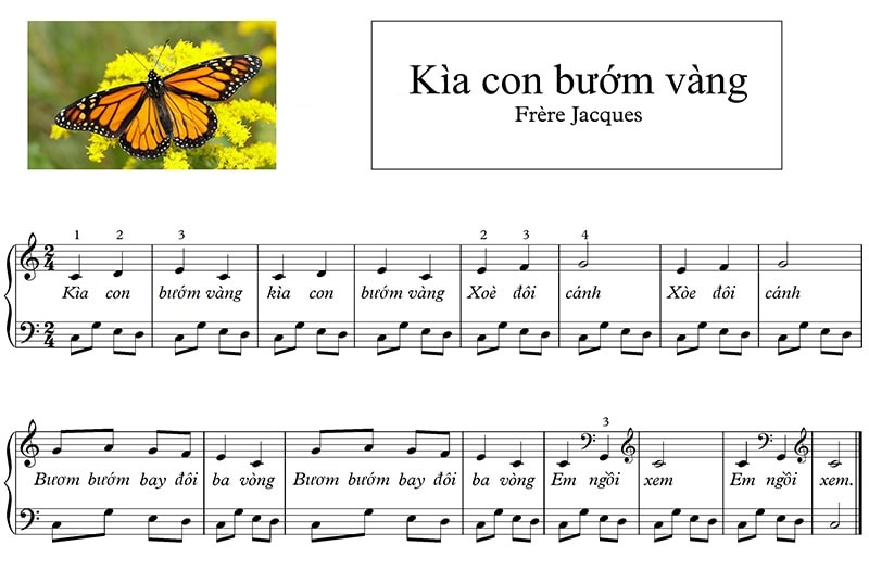 Kìa Con Bướm Vàng có giai điệu dễ nhớ, là bản nhạc piano cho người mới 