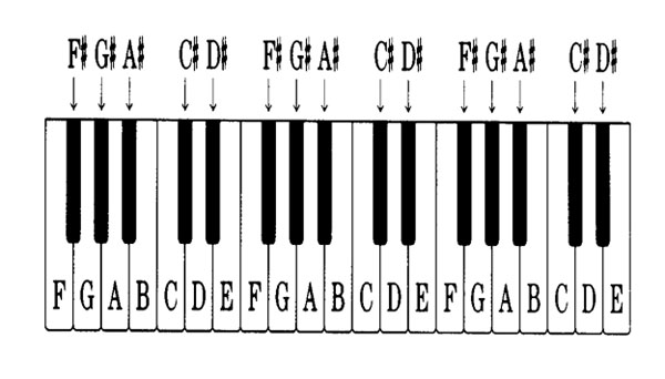 Phím đàn piano gồm 7 nốt nhạc cơ bản được ký hiệu là C, D, E, F, G, A, B, tương ứng với Do, Re, Mi, Fa, Sol, La, Si