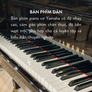 Đàn Grand Piano Yamaha G5E giá rẻ