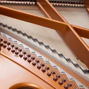 Phím đàn Bösendorfer 280VC