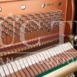 Bên trong đàn Bösendorfer 120