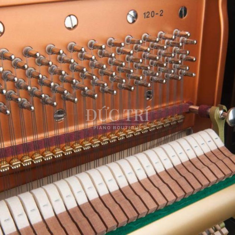 Ben trong dan Bosendorfer 120 Bösendorfer 120 Bên trong đàn Bösendorfer 120