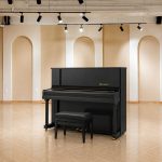 Bên trong đàn piano upright Bösendorfer 120 trưng bày library