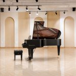 Bösendorfer 214VC - Đàn grand piano với nắp mở trong phòng vòm tối giản