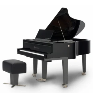 Bösendorfer Porsche 214VC Black & Gray