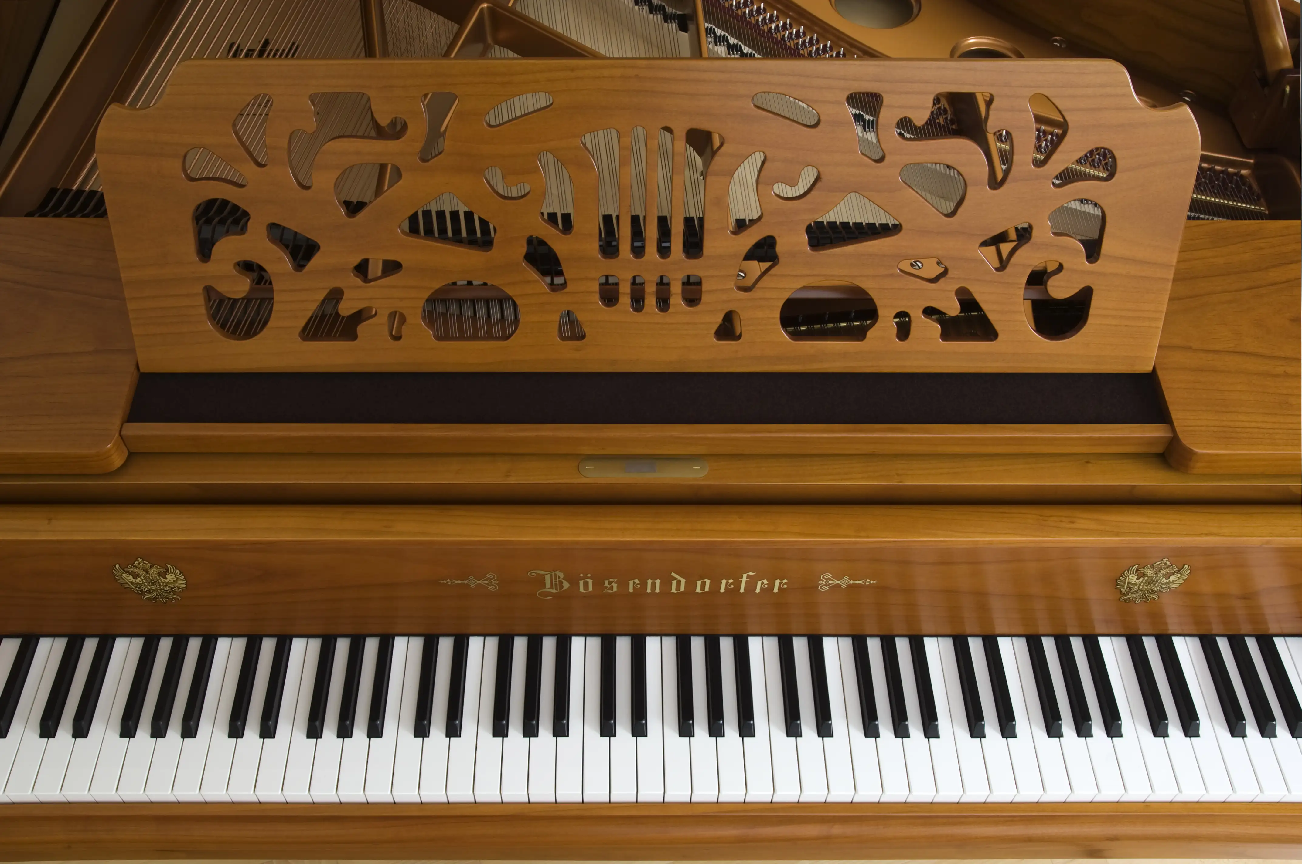 Bösendorfer Strauss 290VC AWN