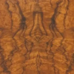 Burr Walnut