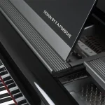 Chi tiết trên Bösendorfer Porsche 214VC Black & Gray