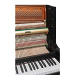 Chốt giữ và dây đàn với chất lượng hoàn thiện cao của Bösendorfer 120
