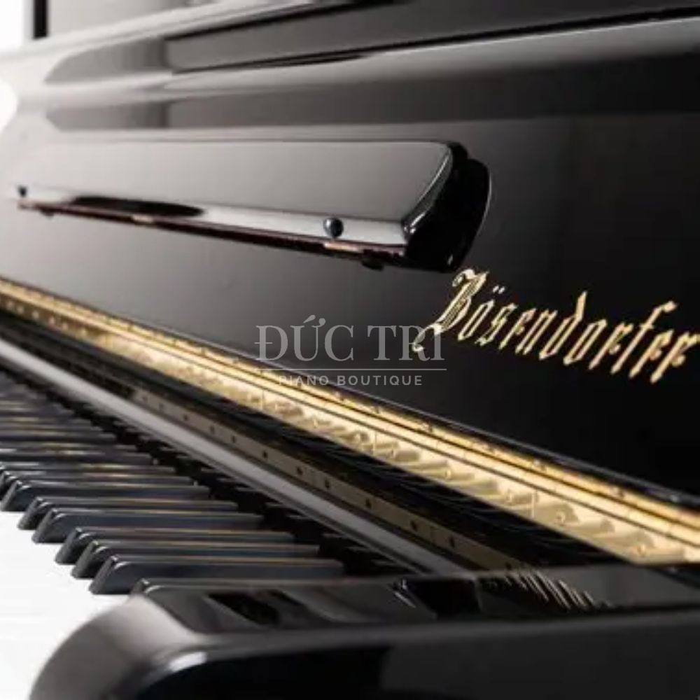 Dan Bosendorfer 120 goc nghien Bösendorfer 120 Đàn Bösendorfer 120 góc nghiên