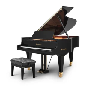 Đàn Piano Bösendorfer 200