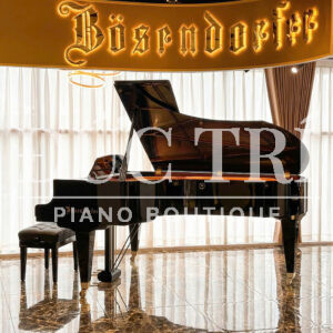 Đàn Piano Bosendorfer 225 imperial
