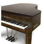 Đàn Piano Bösendorfer Edge 214VC Macassar