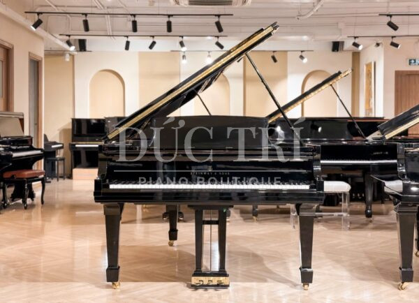 Đàn Piano Steinway & Sons B-211