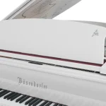 Đàn piano Bösendorfer Cocteau 214VC
