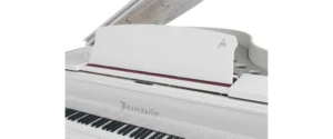 Đàn piano Bösendorfer Cocteau 214VC