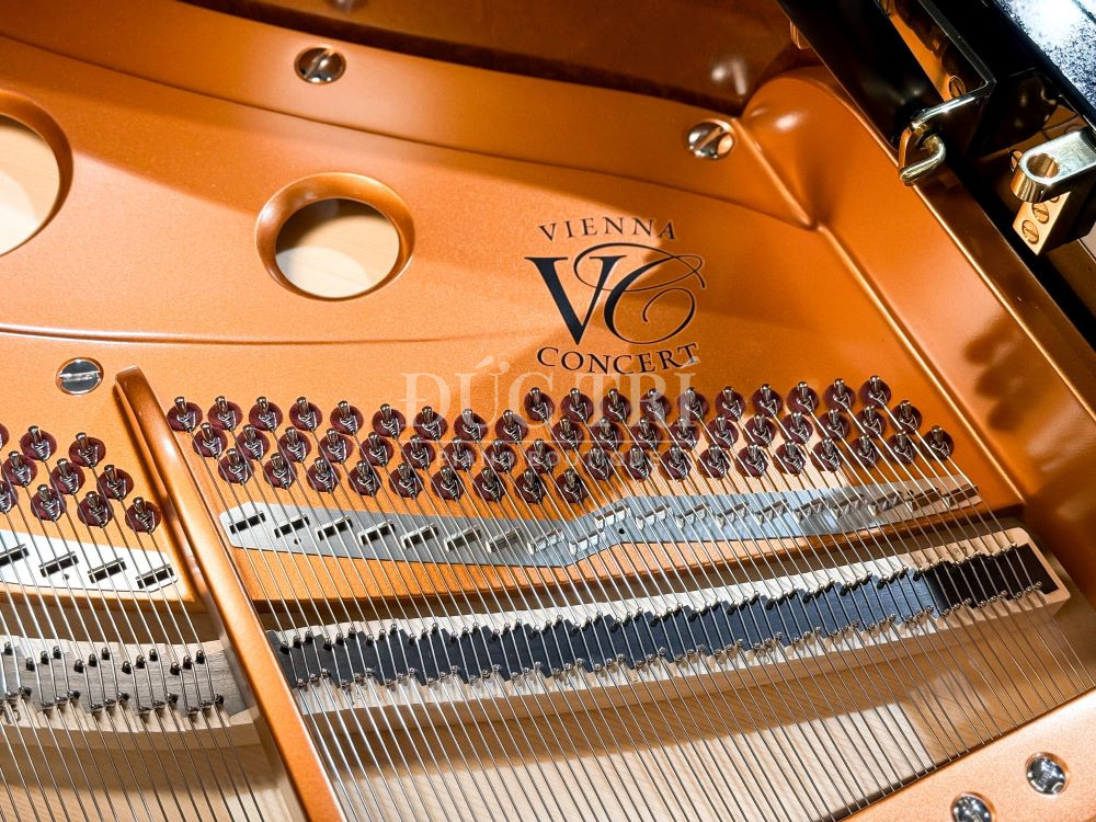 Day dan piano Bosendorfer 214VC Disklavier Edition So sánh đàn piano Bluthner và Bösendorfer Dây đàn piano Bosendorfer 214VC Disklavier Edition