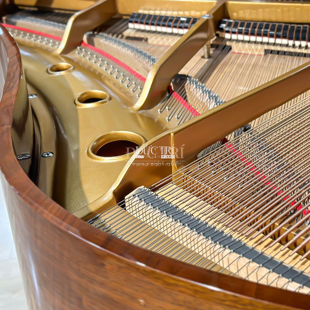Day dan tren dan Steinway Louis M170 Steinway & Sons Louis XV Dây đàn trên đàn Steinway Louis M170