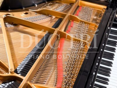 Dây và búa đàn Steinway & Sons B-211