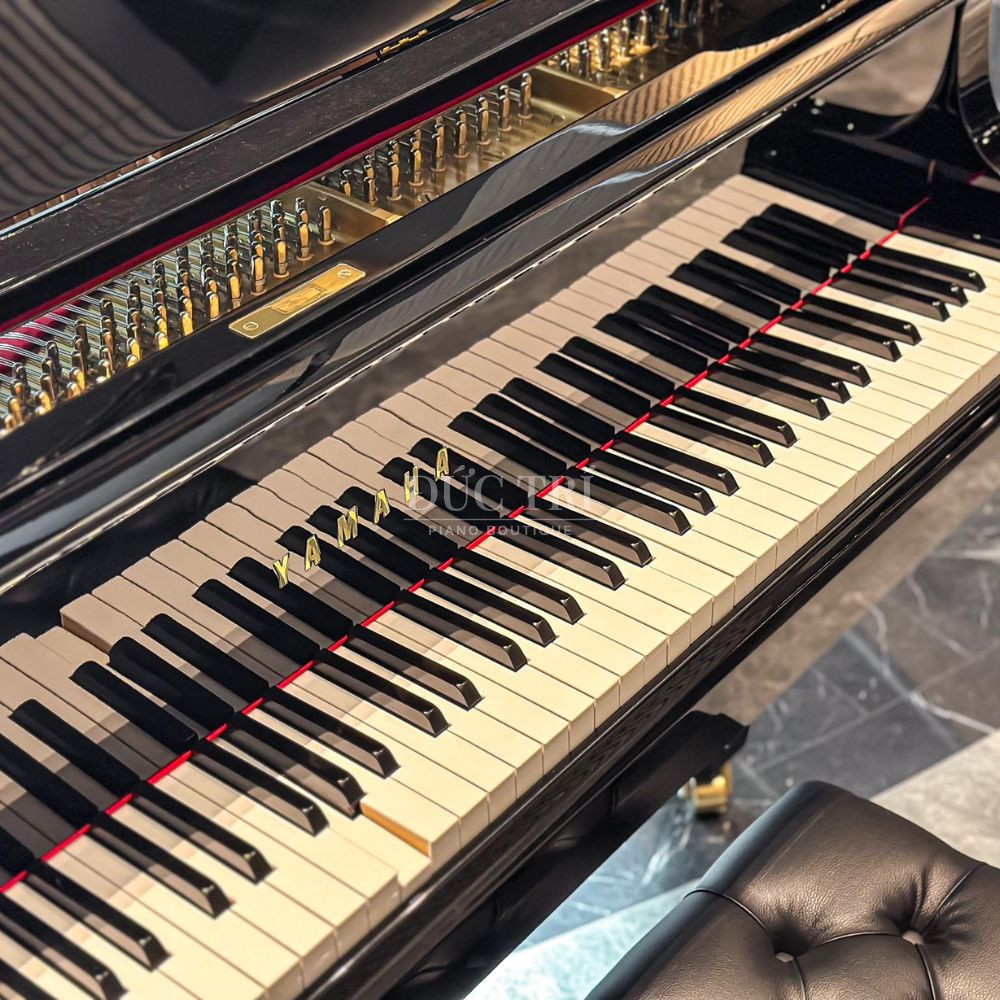 Hinh phim dan Yamaha G3 duoc ban giao tai The Opera yamaha g3 Hình phím đàn Yamaha G3 được bàn giao tại The Opera