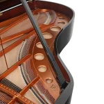 Khung Đàn piano Bösendorfer 230VC