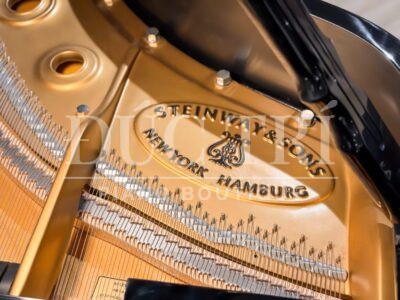 Logo Piano Steinway & Sons B-211