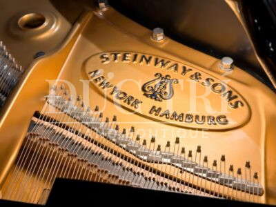 Logo đàn Steinway & Sons B-211