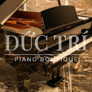 Logo dán thêm Grand Piano Bosendorfer 225 imperial
