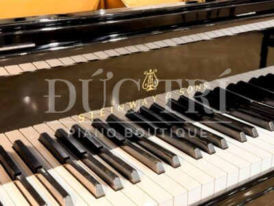 Logo và bàn phím đàn piano Steinway & Sons B-211