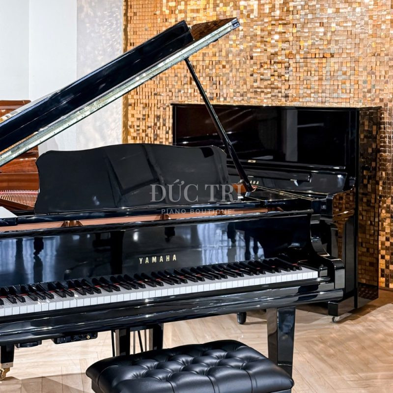 Mặt tớc đàn Yamaha GC1 Silent