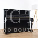 Mặt trước đàn Bösendorfer 120