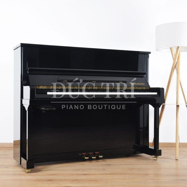 Mặt trước đàn Bösendorfer 120