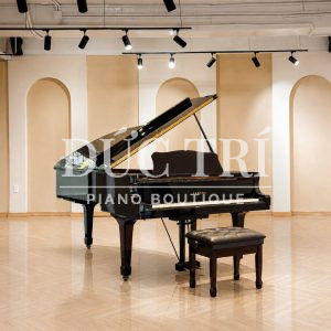 Màu đen trên ảnh Yamaha C7