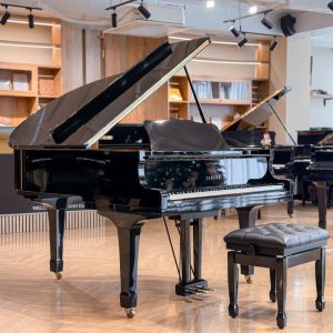 Màu sắc trên đàn Yamaha C1