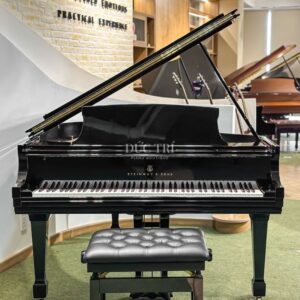Nắp đàn Đàn Piano Steinway M170