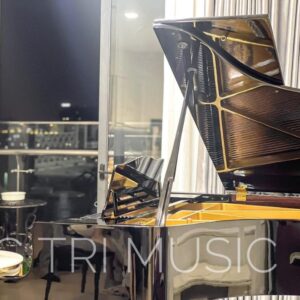 Nắp và cây chống nắp đàn Yamaha GC1