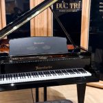 Phía trước piano Bosendorfer 185VC
