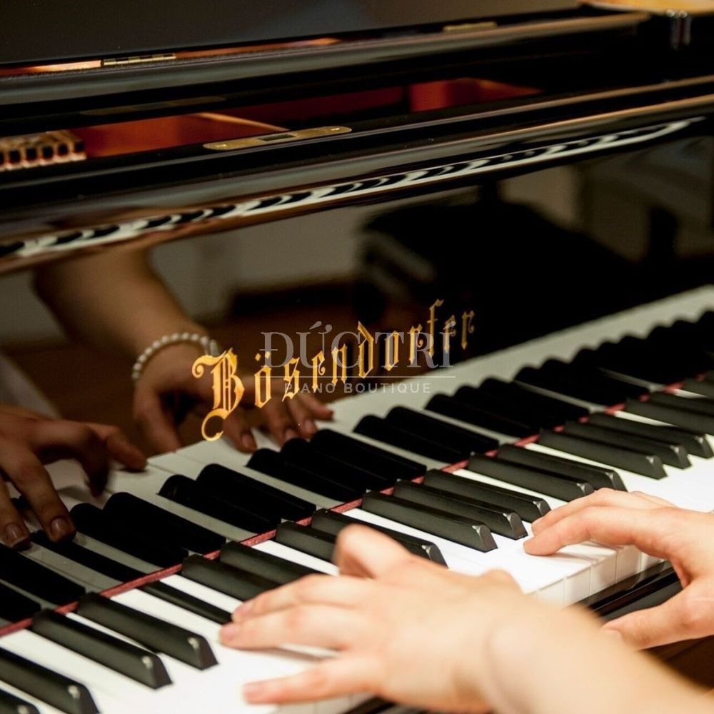 Phim dan Bosendorfer 120 Bösendorfer 120 Phím đàn Bösendorfer 120