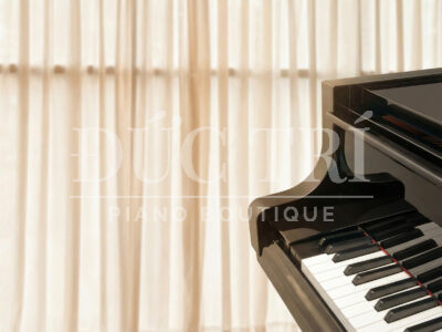 Phím đàn Grand Piano Bosendorfer 225 imperial
