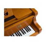 Phím đàn trên đàn Bösendorfer Strauss