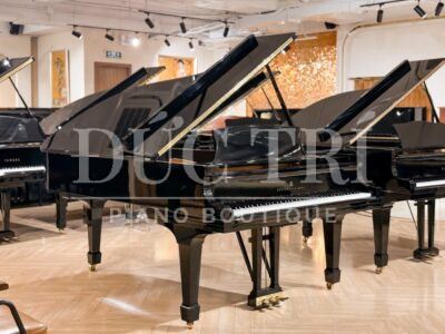 Piano Steinway & Sons B-211
