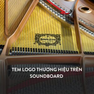 Đàn Grand Piano Yamaha C7 Cao Cấp tại Đức Trí Music